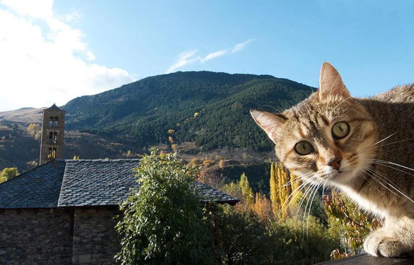 Casa Independiente Rural Ca De Corral Тауль Экстерьер фото